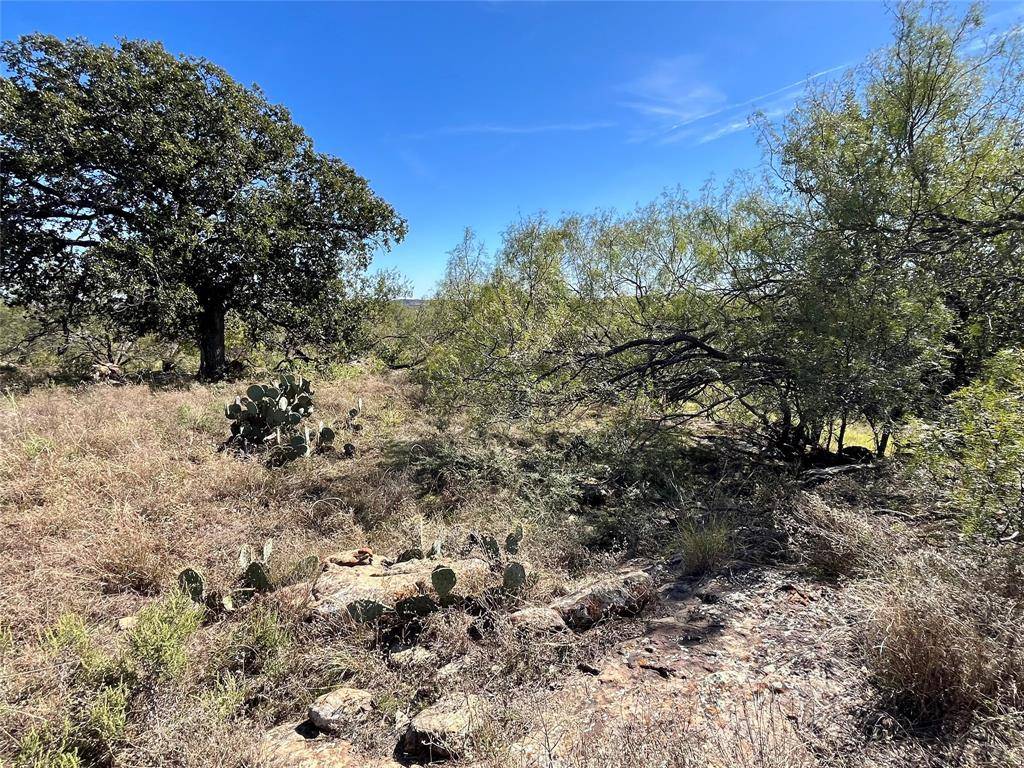 Bryson, TX 76427,000 Fm 175