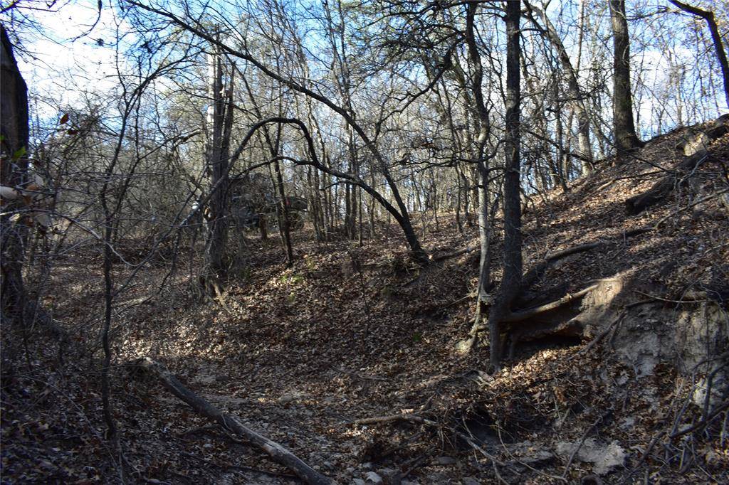 Lipan, TX 76462,TBD COUNTY ROAD 146