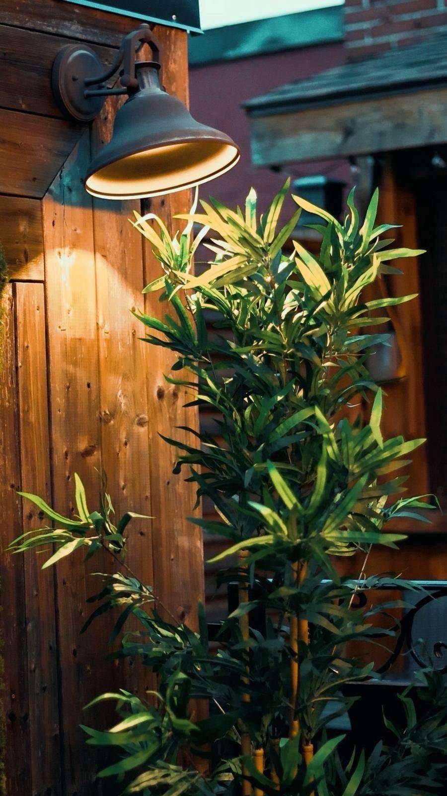 Brampton, ON L6X 1M8,15 Main ST N