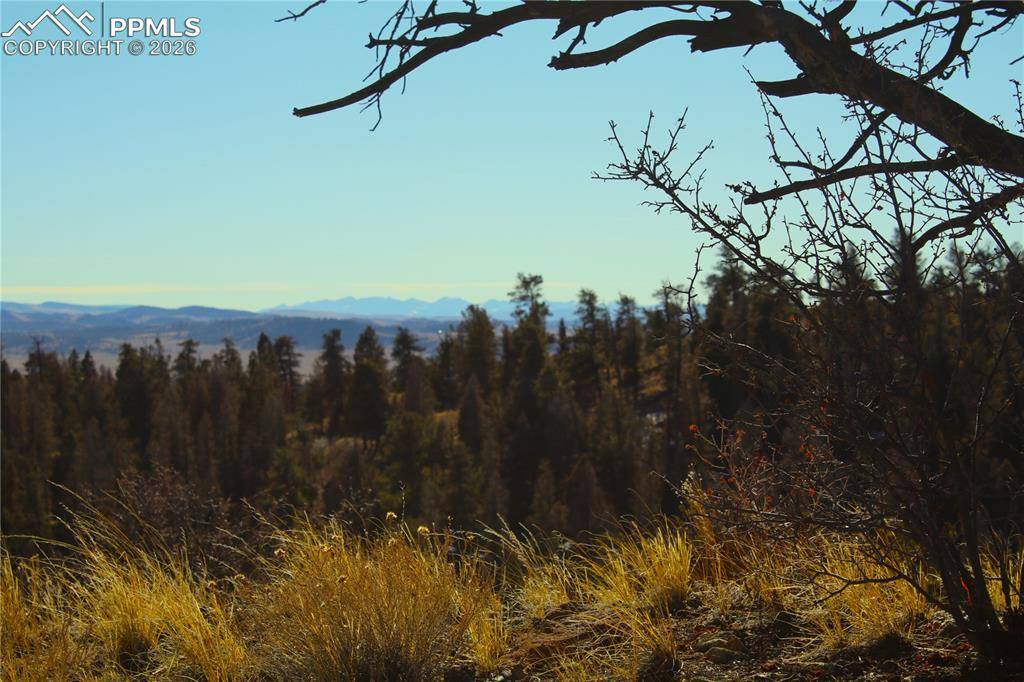 Hartsel, CO 80449,3632 Clear Creek RD