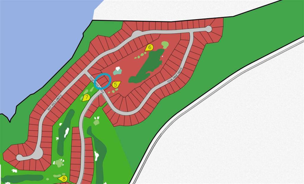 Graford, TX 76449,45 Oak Tree Drive