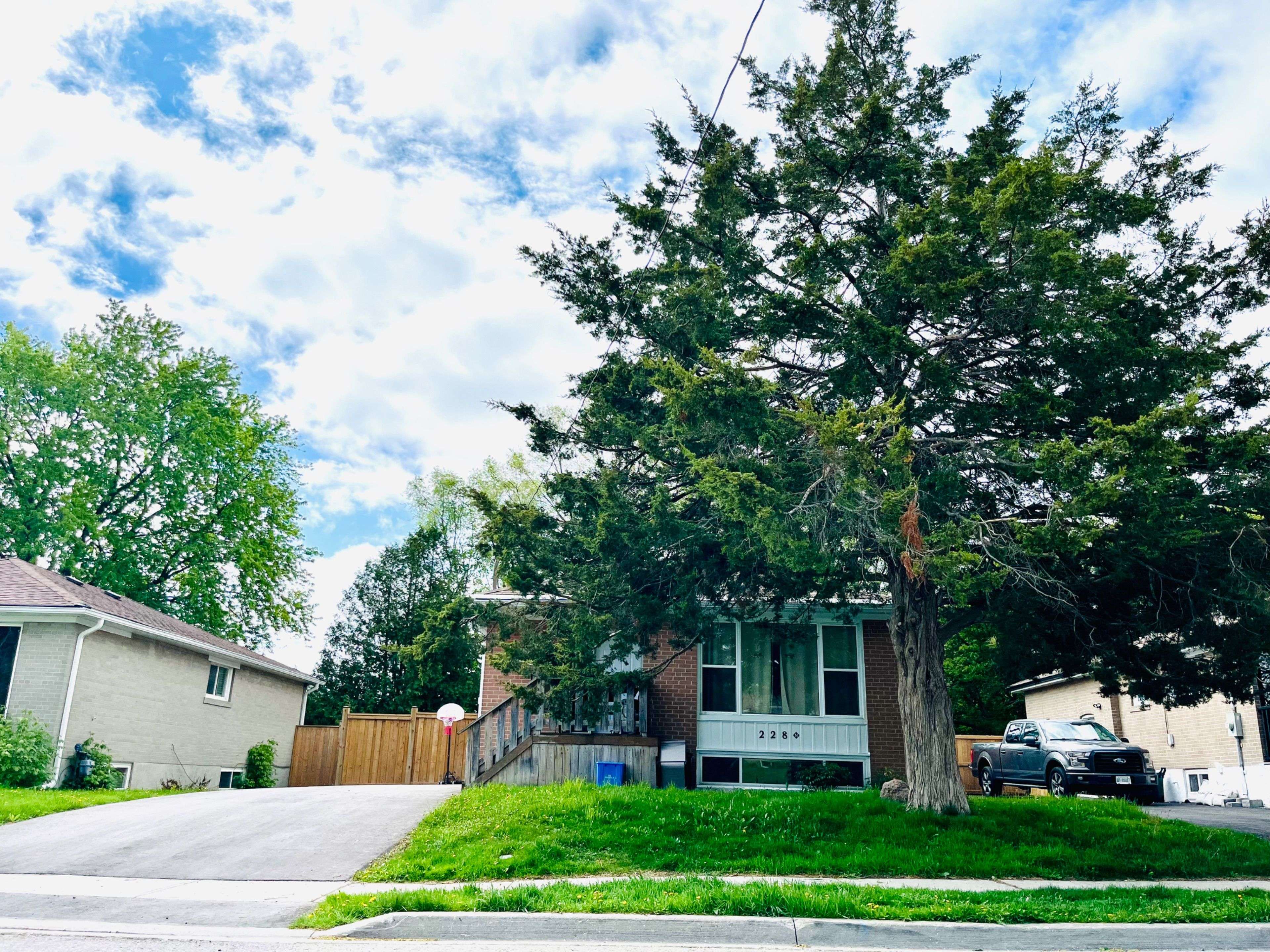 Newmarket, ON L3Y 2Z5,228 Silverbirch DR #Upper