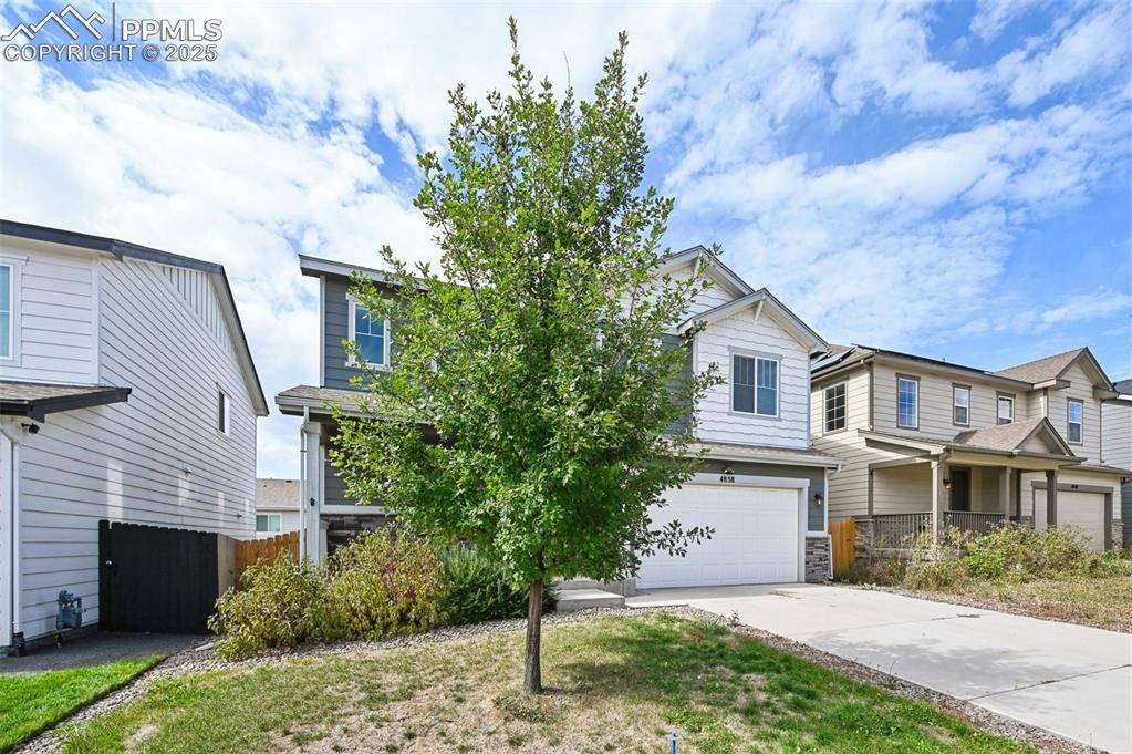 Colorado Springs, CO 80911,4858 Wolf Moon DR
