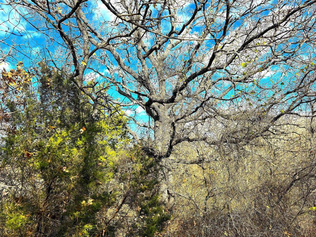 Poolville, TX 76487,TBD Turpin Lake Road