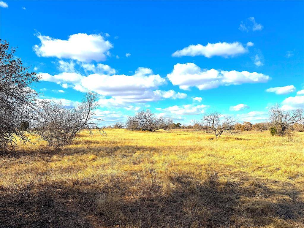 Poolville, TX 76487,TBD Turpin Lake Road