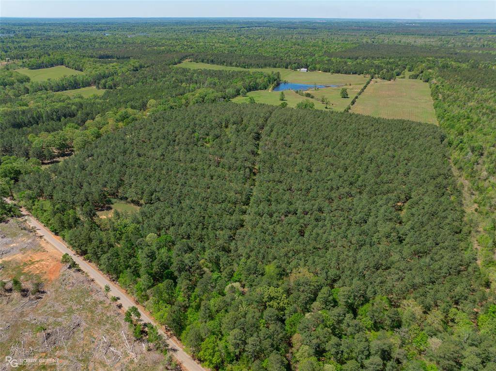 Benton, LA 71006,260 Circle M Road