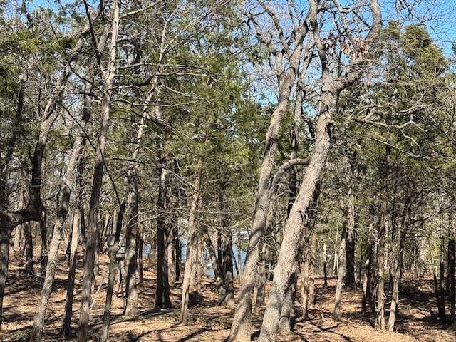 Pottsboro, TX 75076,281 Westminister Drive