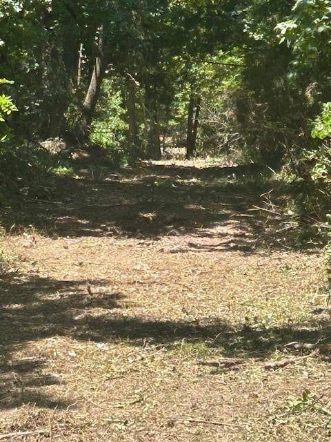 Winnsboro, TX 75494,1111 GILMER Road