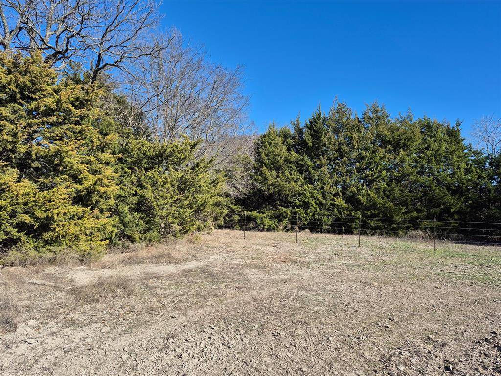 Trenton, TX 75490,1149 CR 4642