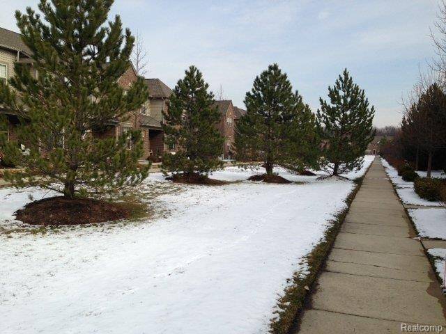 Canton, MI 48187,41290 Maplewood DR