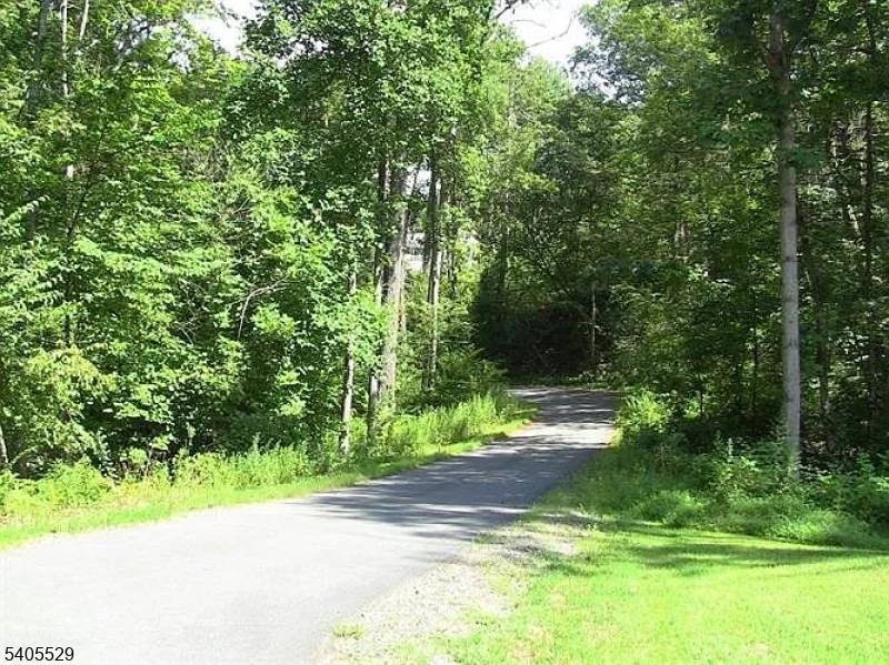 Byram Twp., NJ 07821,8 Cub Lake Rd