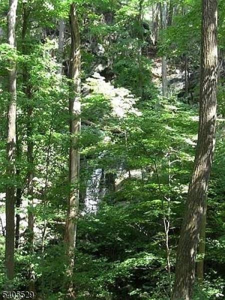 Byram Twp., NJ 07821,8 Cub Lake Rd