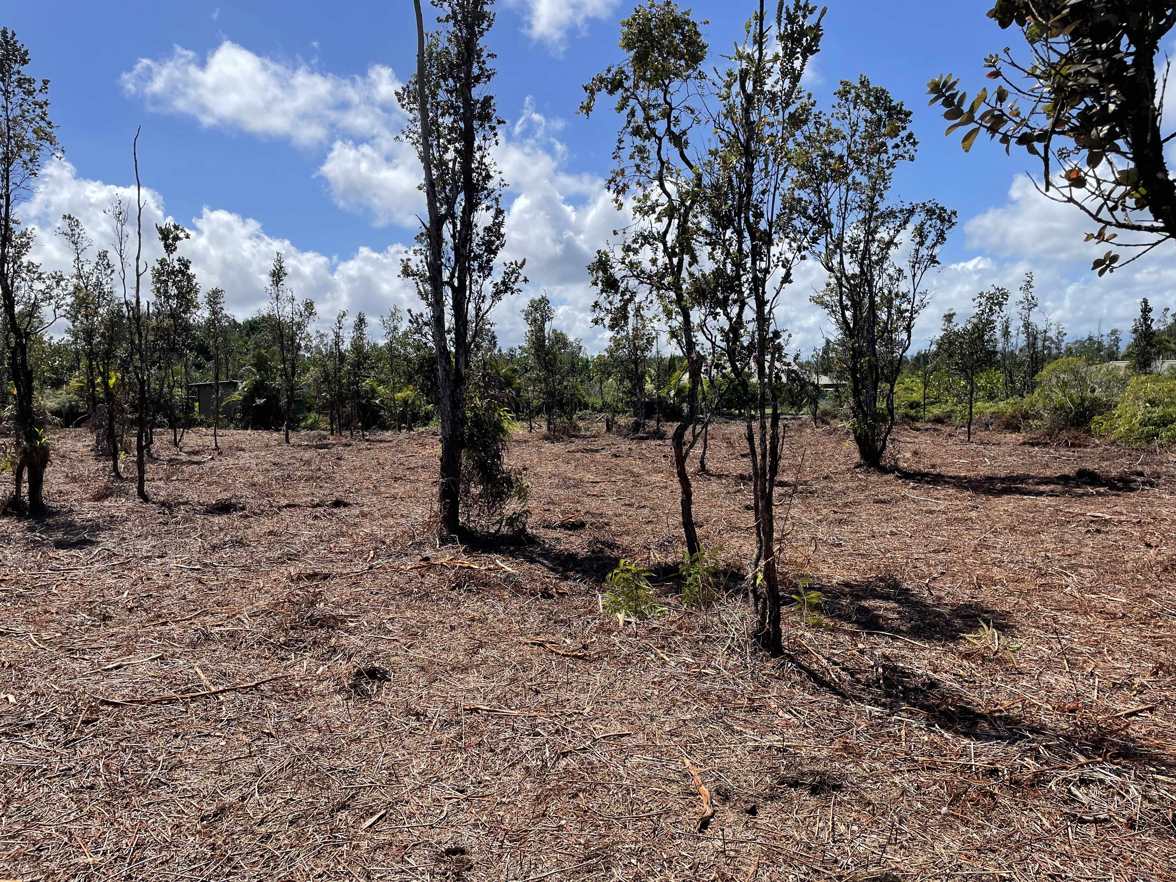 Keaau, HI 96749,15-1462 8TH AVE