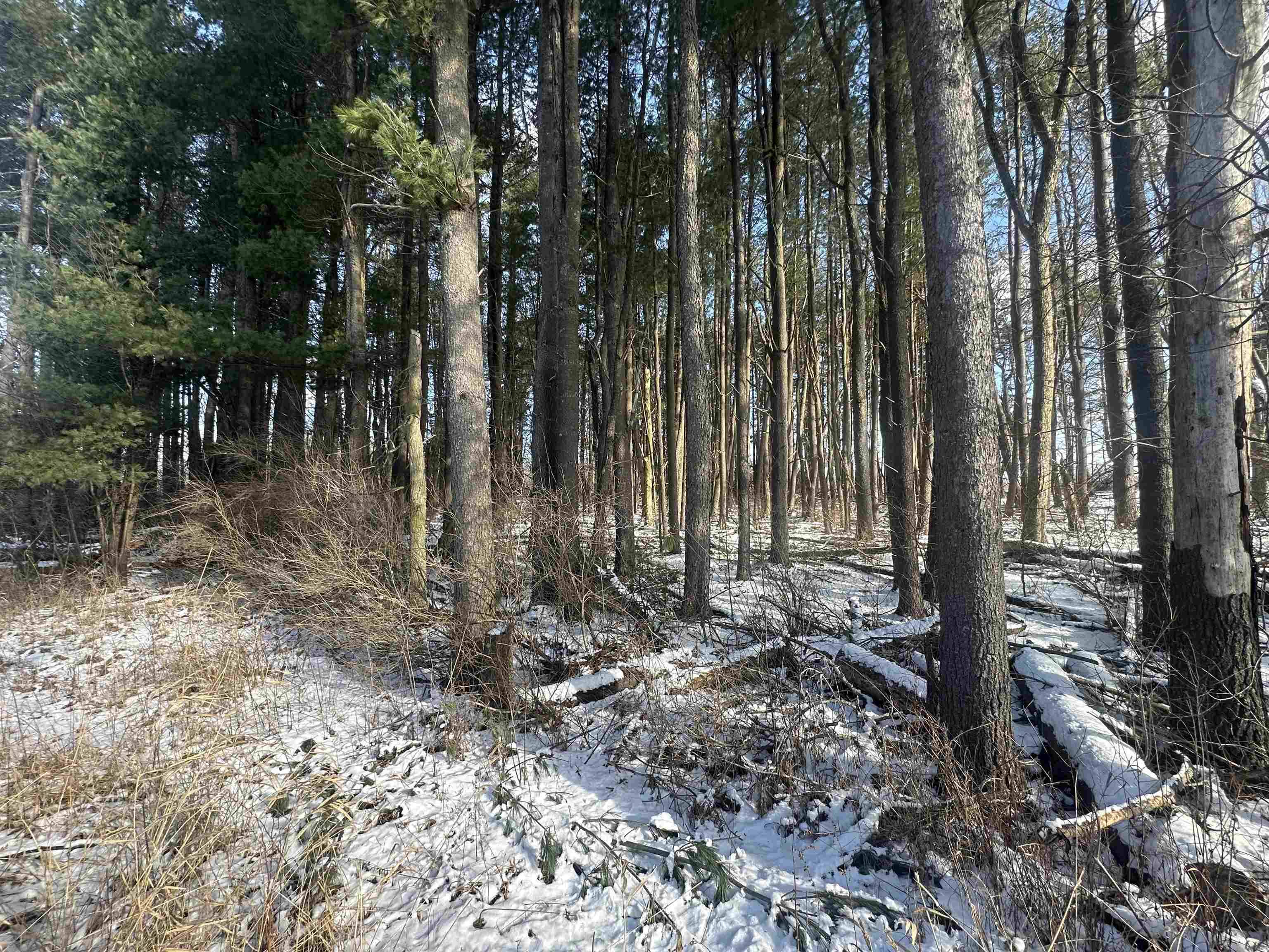 Lake, MI 48632,8450 N Brinton RD