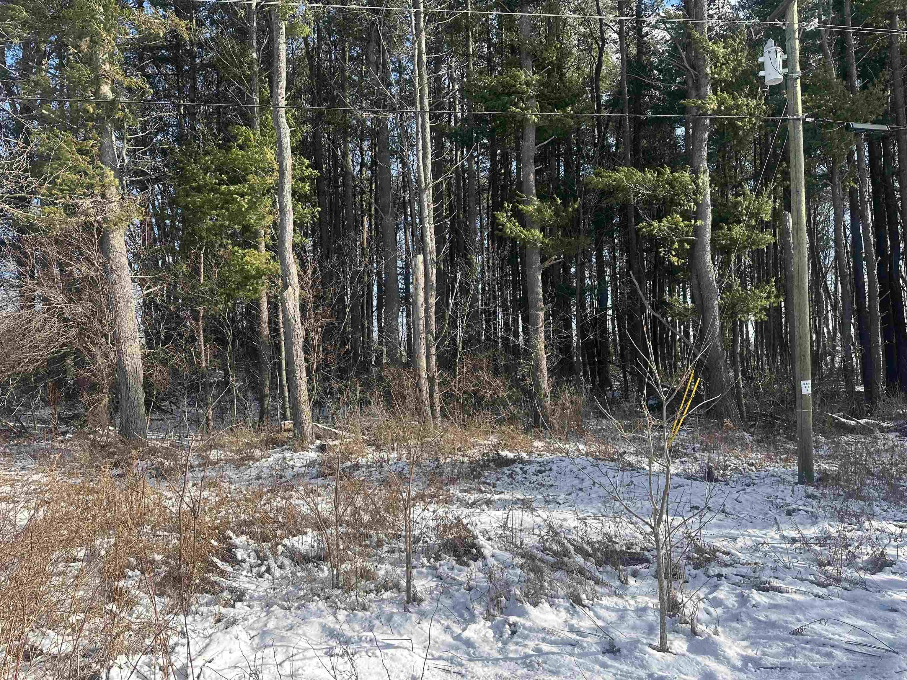 Lake, MI 48632,8450 N Brinton RD