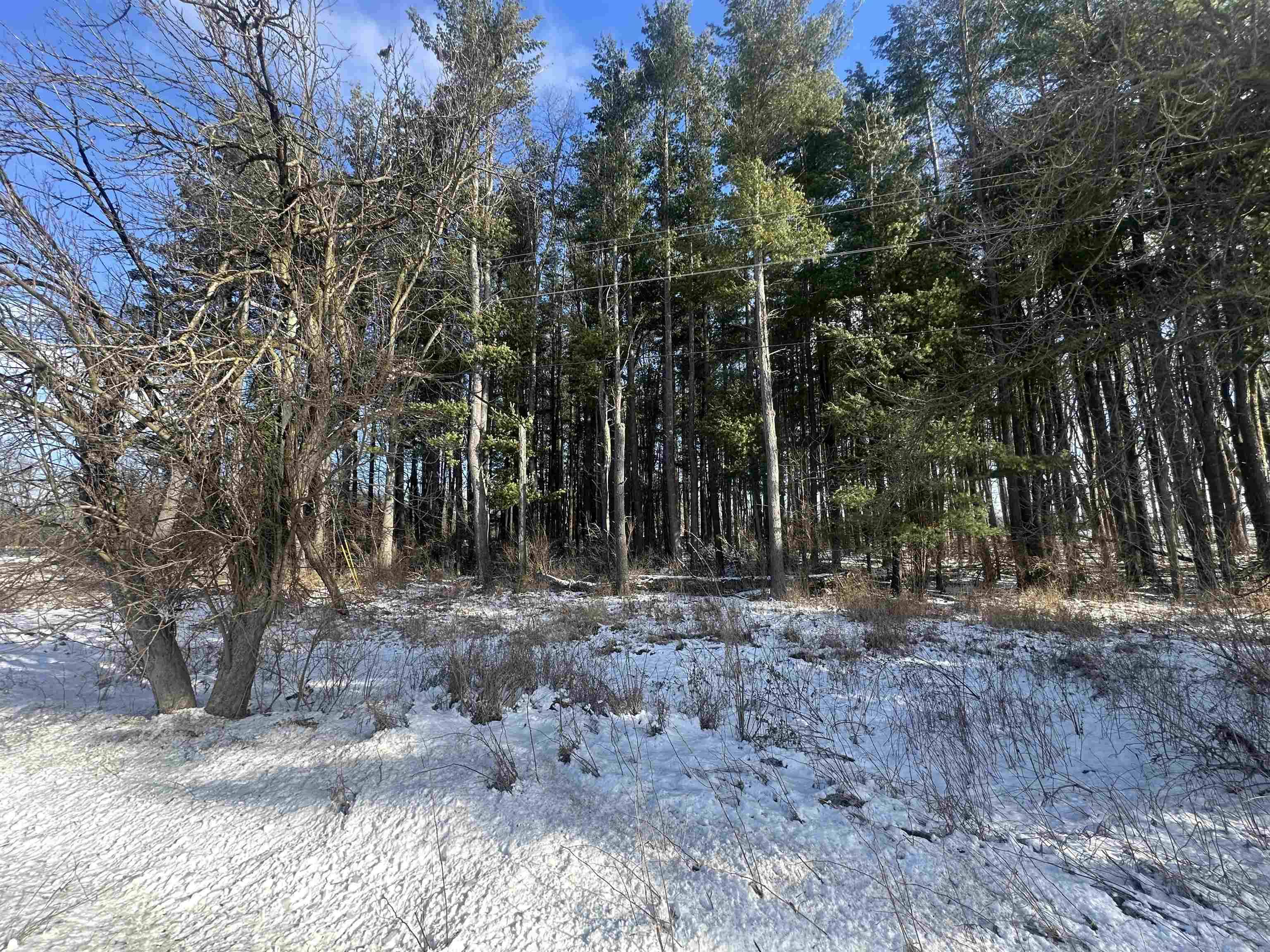 Lake, MI 48632,8450 N Brinton RD