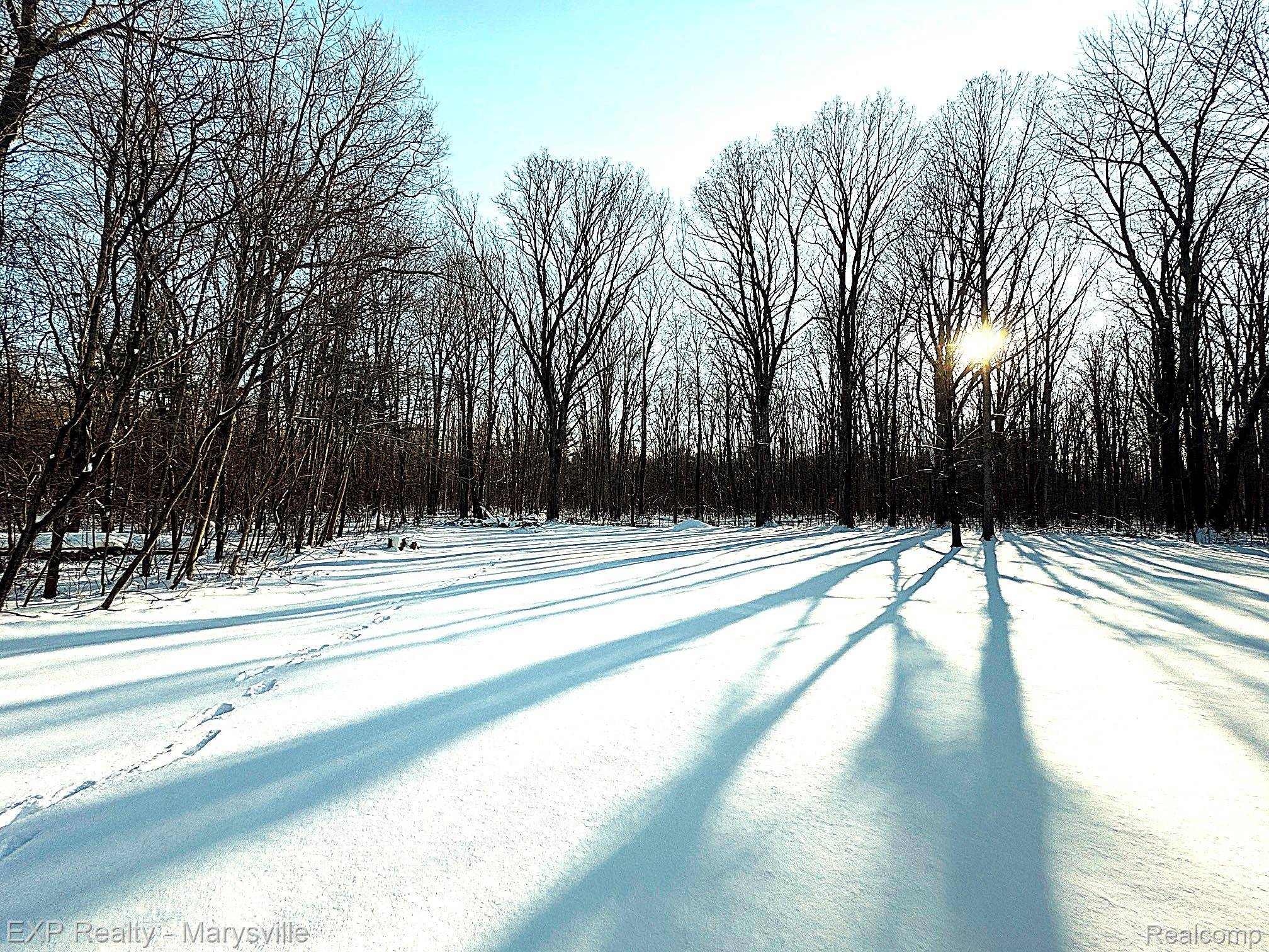 Ruby, MI 48049,7187 Phillips