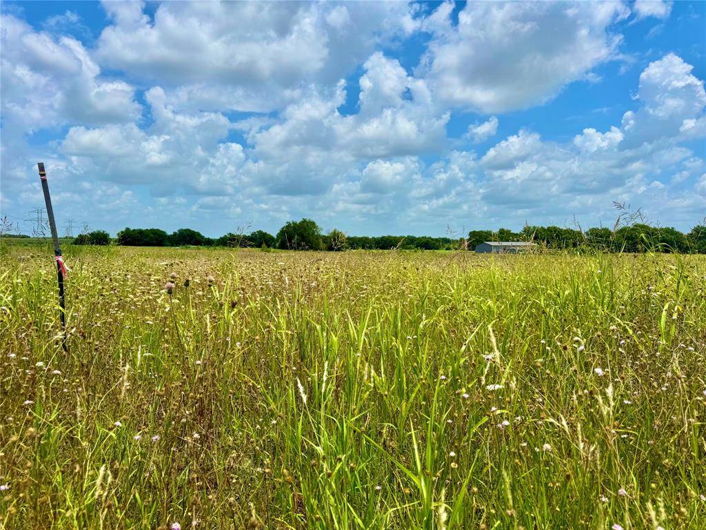 Nevada, TX 75173,Lot 8 CR-590