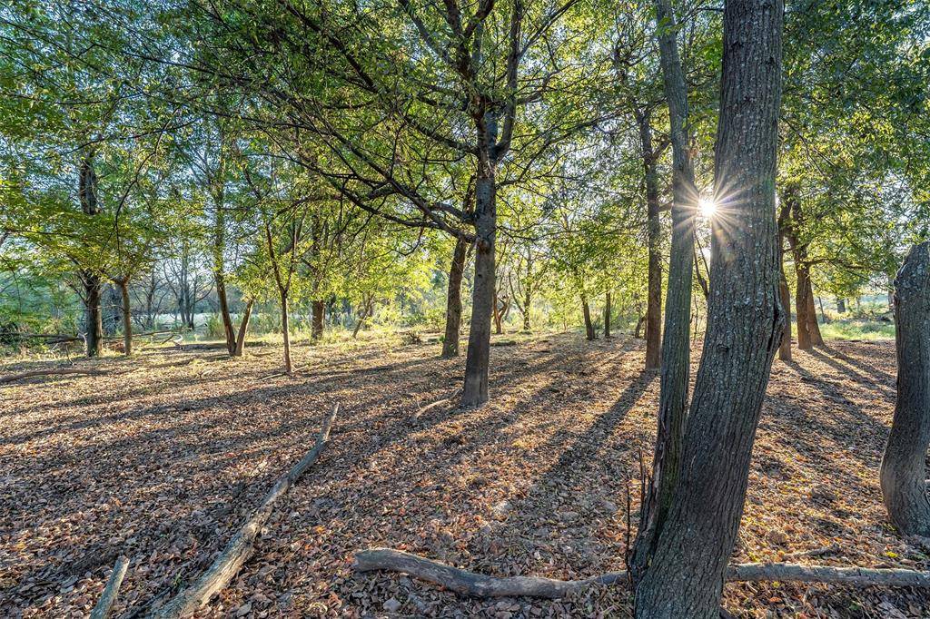 Yantis, TX 75497,5081 154 Highway