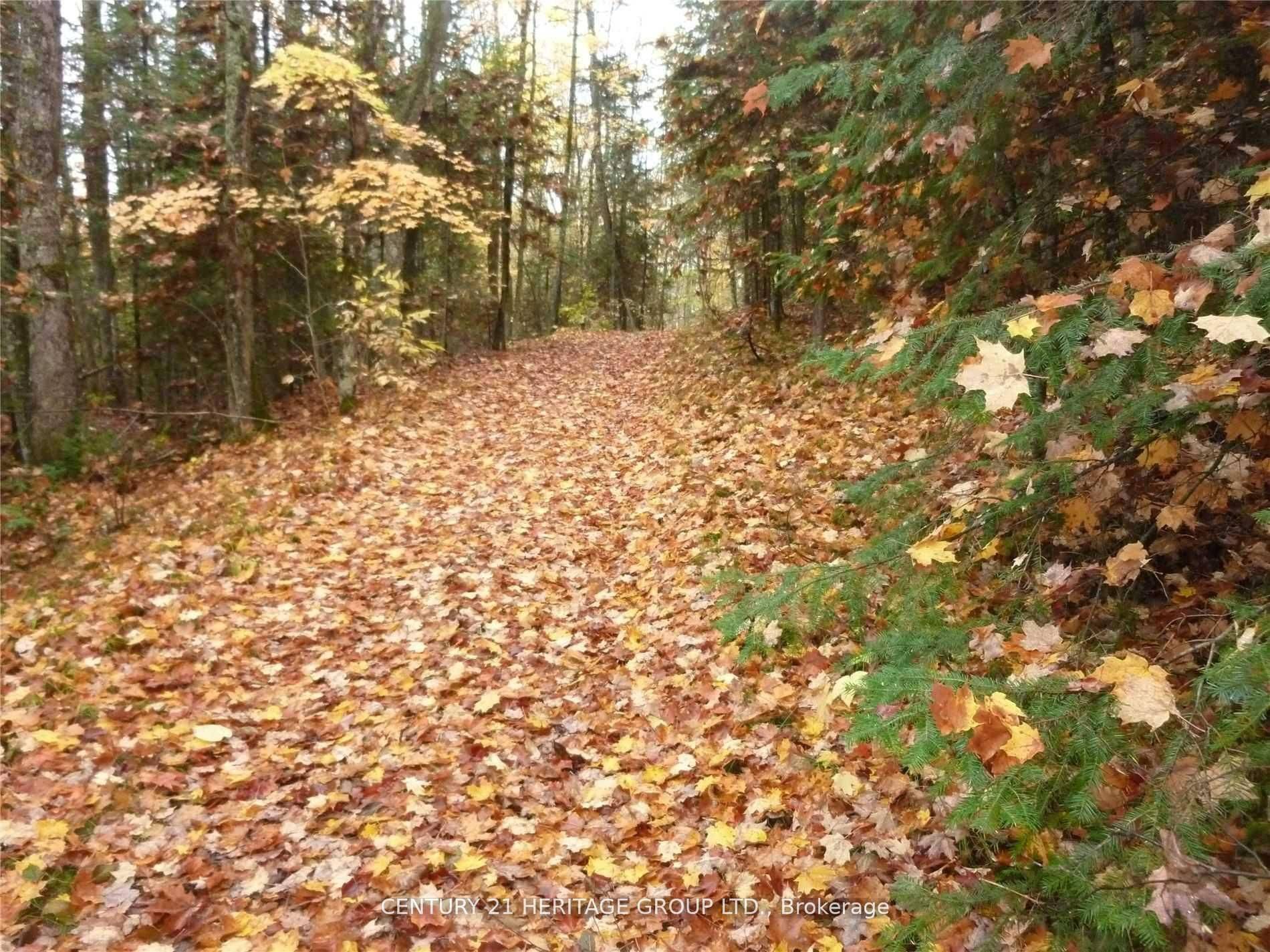 Highlands East, ON K0L 2Y0,Pt Lt 8 Con7 MacDuff RD