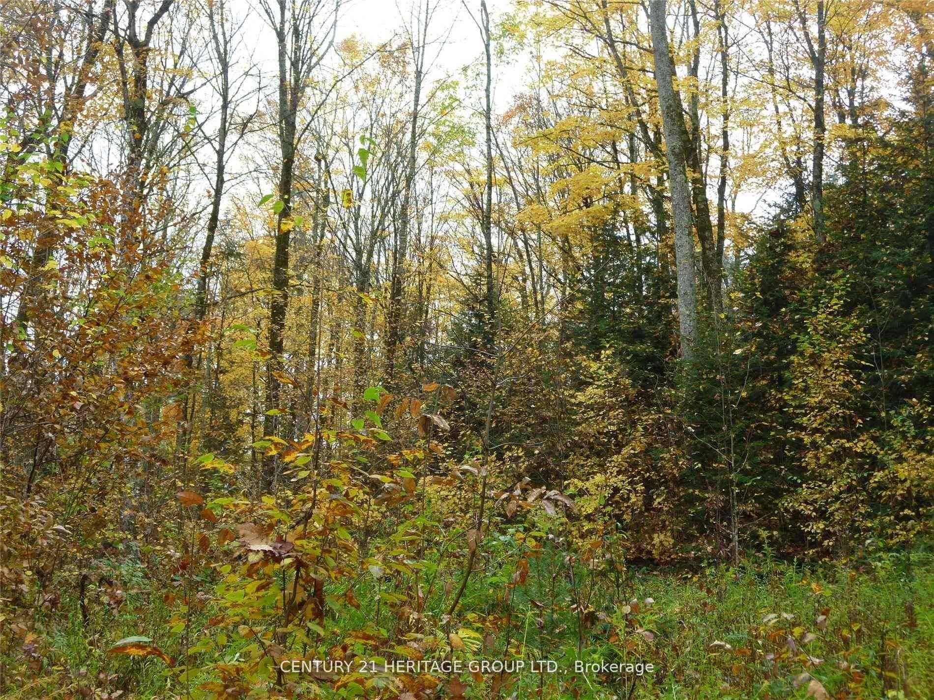 Highlands East, ON K0L 2Y0,Pt Lt 8 Con7 MacDuff RD