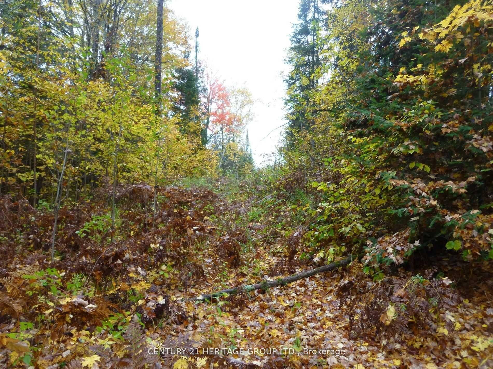 Highlands East, ON K0L 2Y0,Pt Lt 8 Con7 MacDuff RD