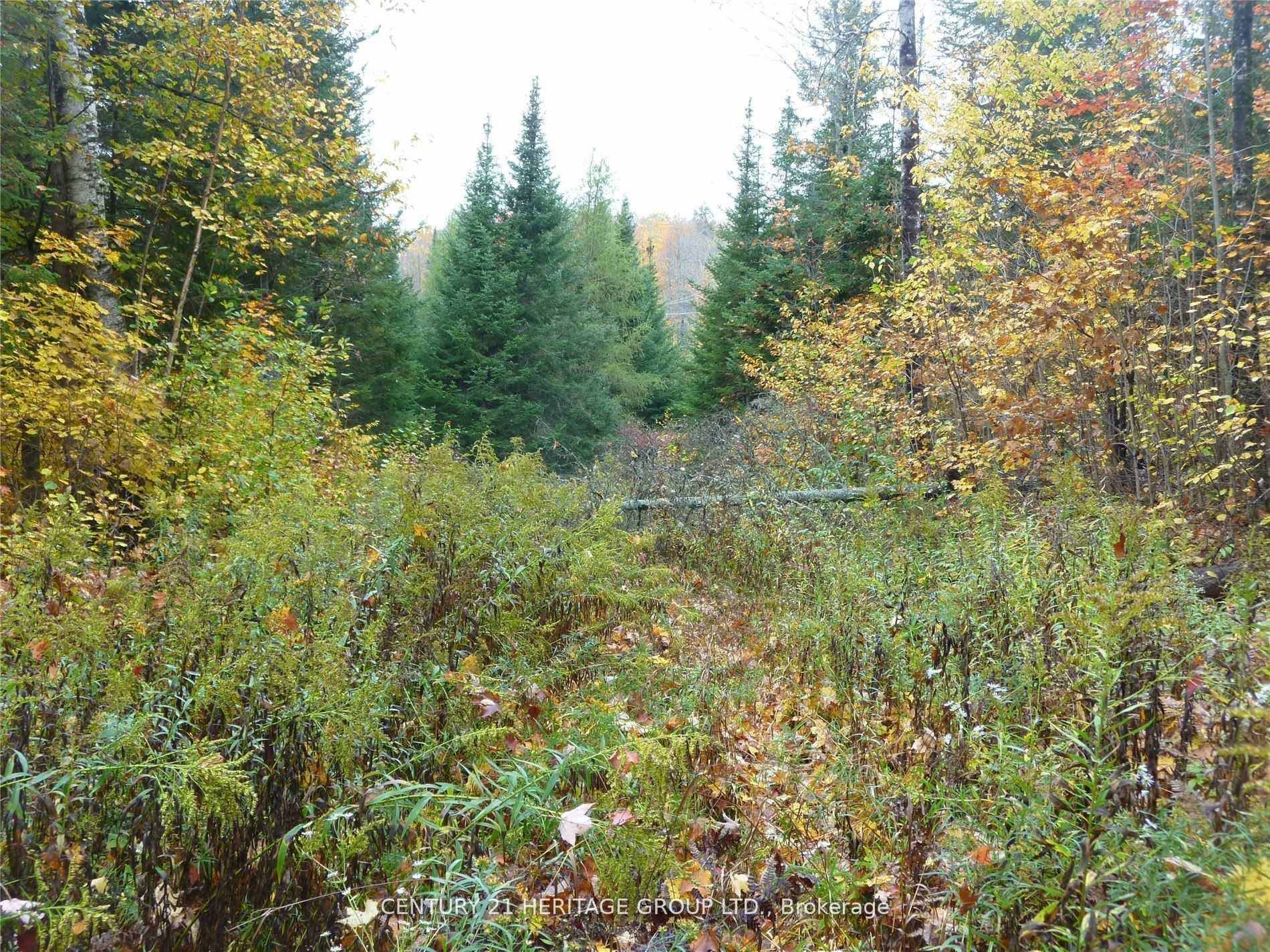 Highlands East, ON K0L 2Y0,Pt Lt 8 Con7 MacDuff RD