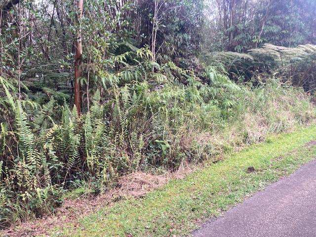 ROAD 5, Volcano, HI 96785