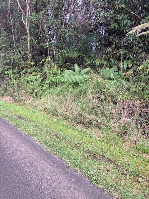 ROAD 5, Volcano, HI 96785