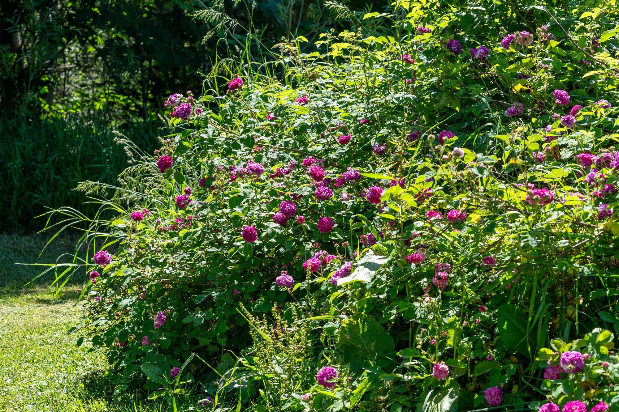 Meaford, ON N4L 1W5,138237 Grey Road 112 N/A