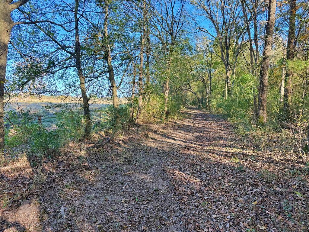 Winnsboro, TX 75494,TBD Farm Road 3019