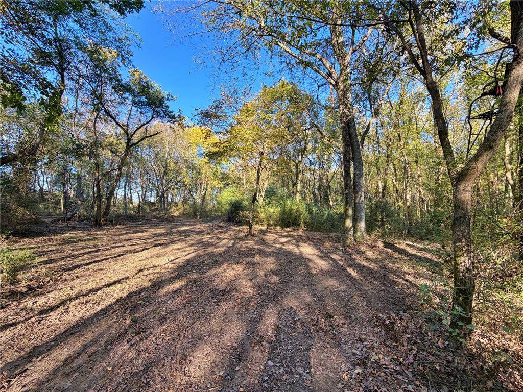 Winnsboro, TX 75494,TBD Farm Road 3019