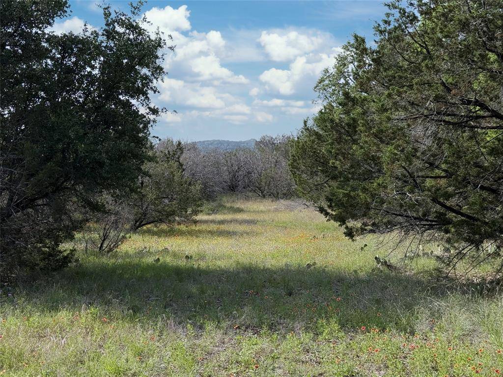 Glen Rose, TX 76043,TBD 2010 #Lot 8