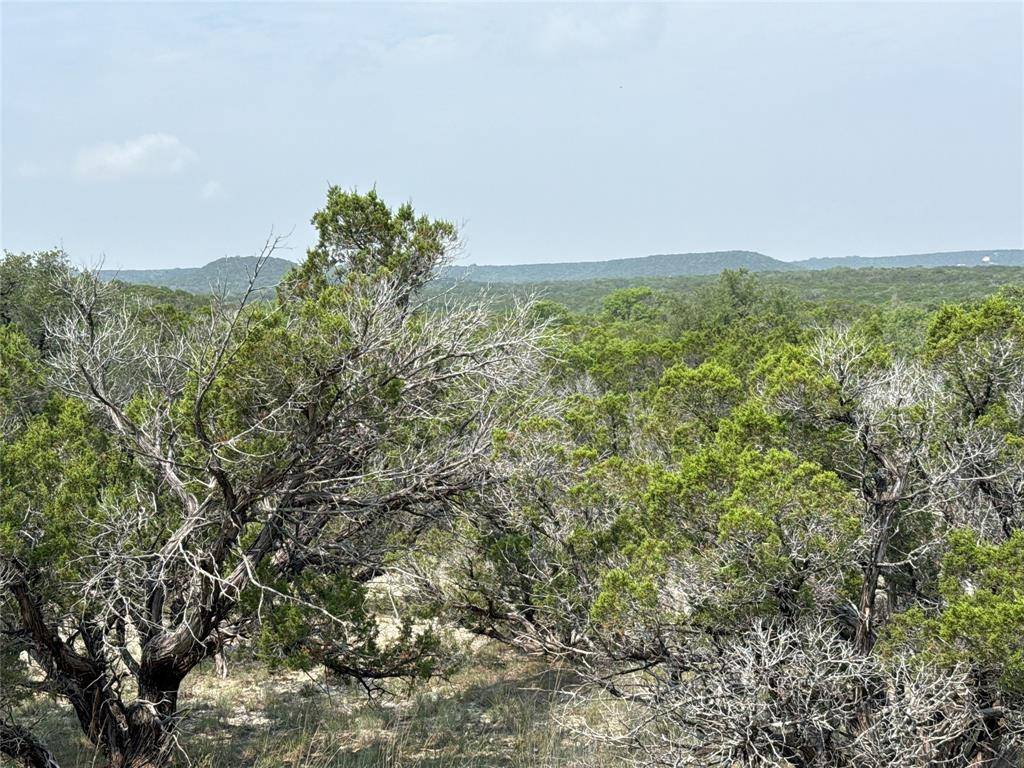 Glen Rose, TX 76043,TBD 2010 #Lot 8
