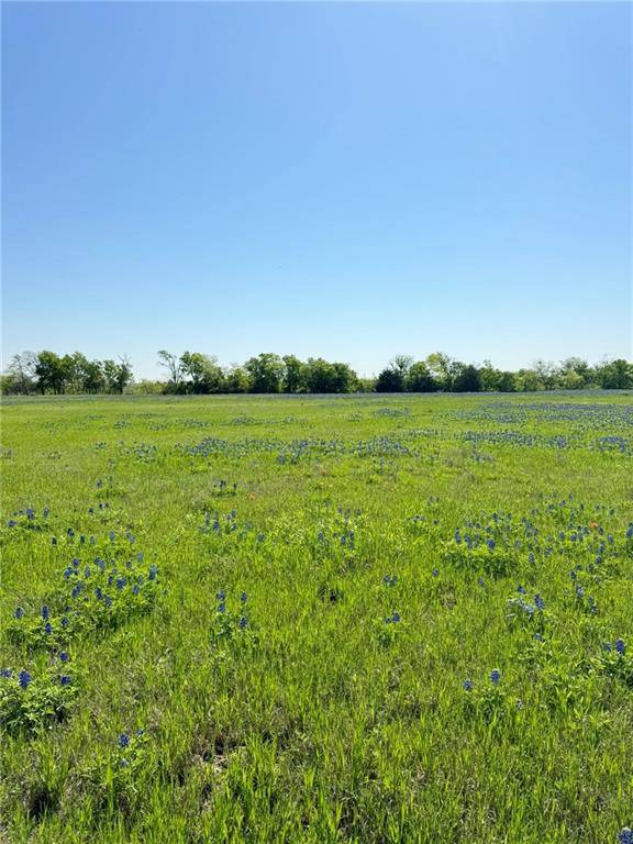 Penelope, TX 76676,5.01 Acres FM 308 Road