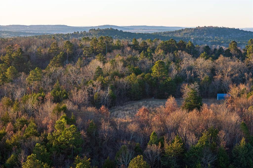 Jacksonville, TX 75766,0 W County Road 3310