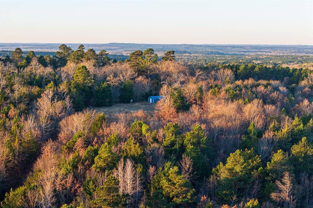 Jacksonville, TX 75766,0 W County Road 3310