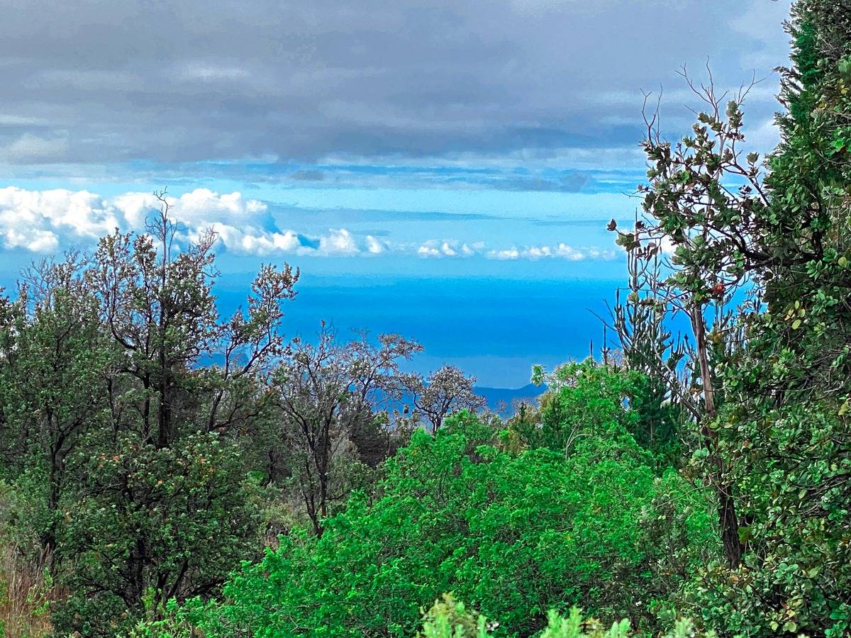 Ocean View, HI 96737,92-2120 KONA DRIVE