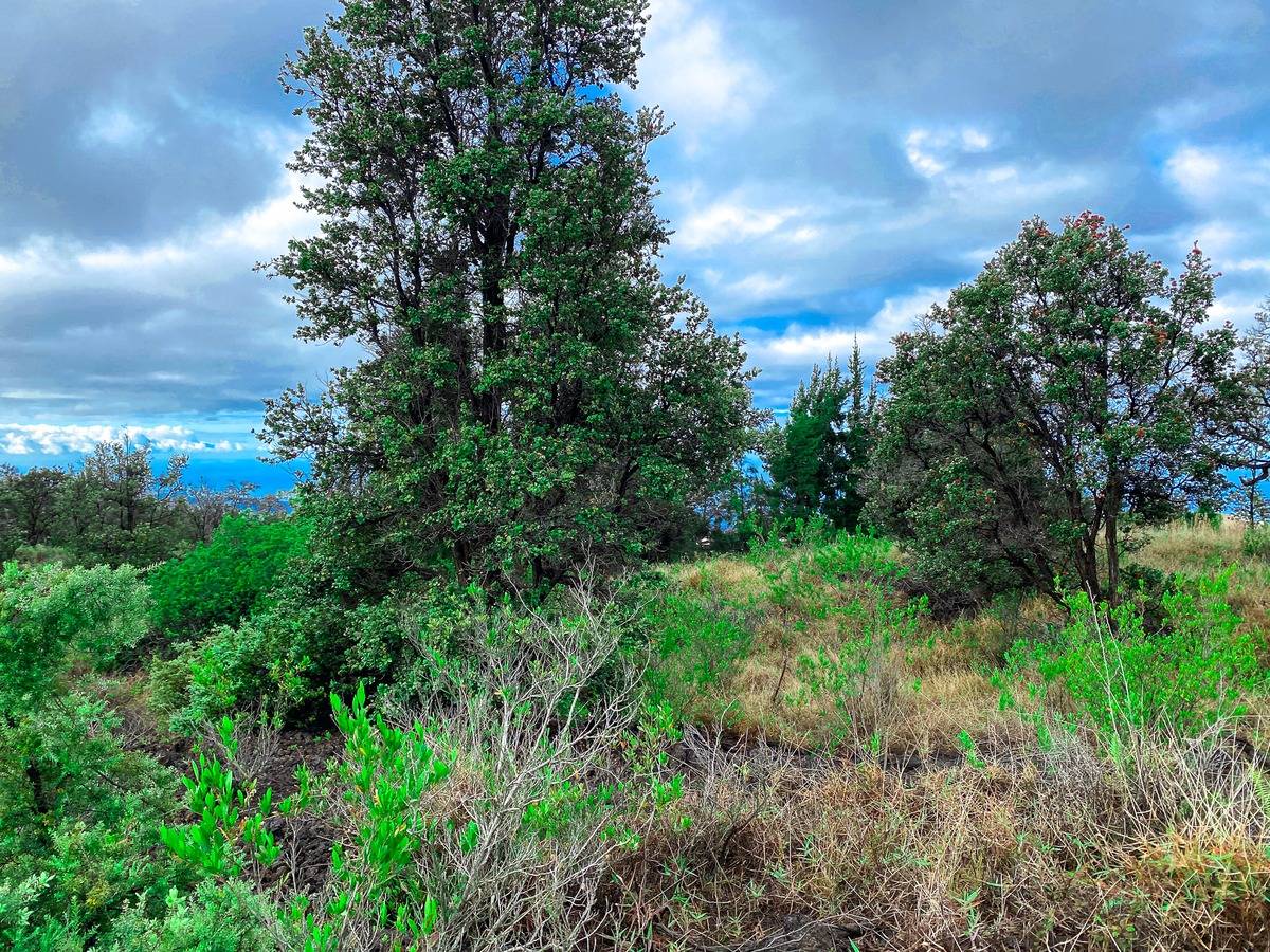 Ocean View, HI 96737,92-2120 KONA DRIVE