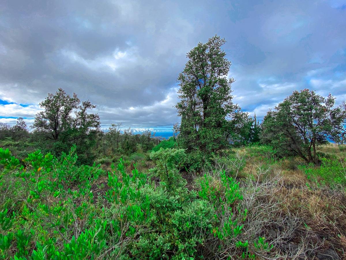 Ocean View, HI 96737,92-2120 KONA DRIVE