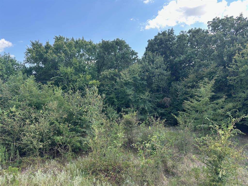 RS Private Road 6372, Alba, TX 75410