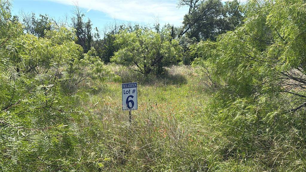 Brownwood, TX 76801,Lot 6 County Road 601
