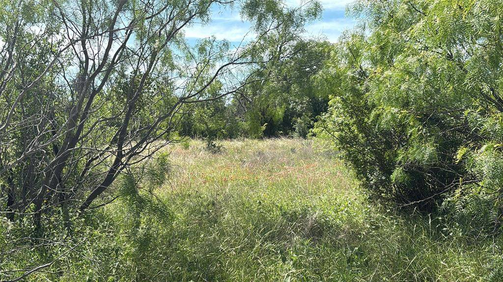 Brownwood, TX 76801,Lot 6 County Road 601