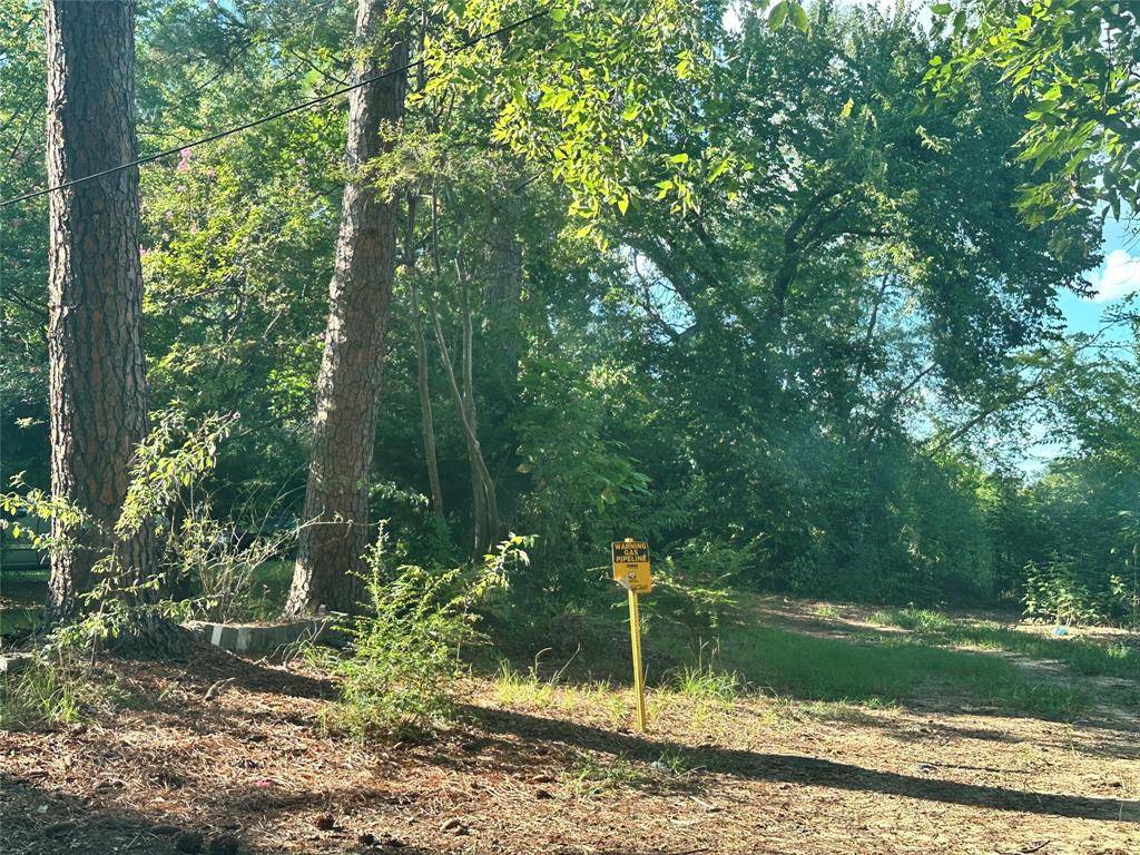 Sulphur Springs, TX 75482,LOT 45 Harris