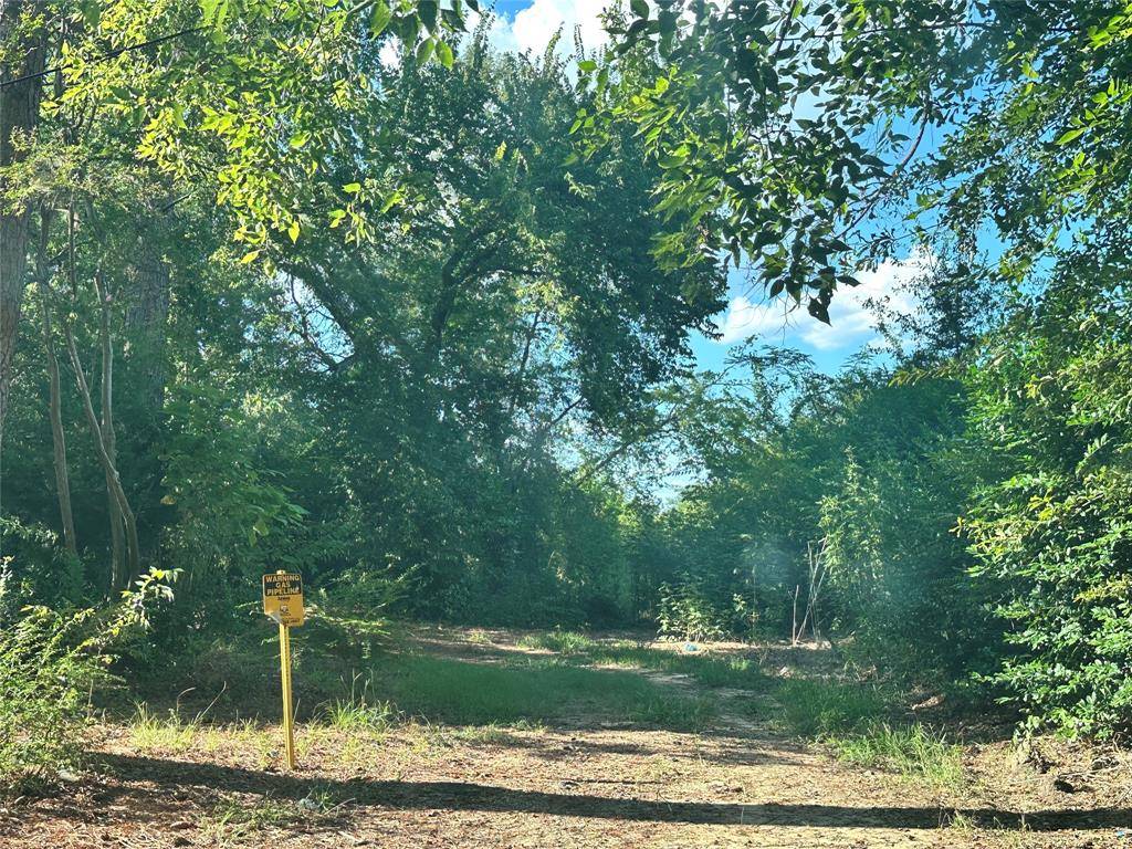 Sulphur Springs, TX 75482,LOT 46 Harris