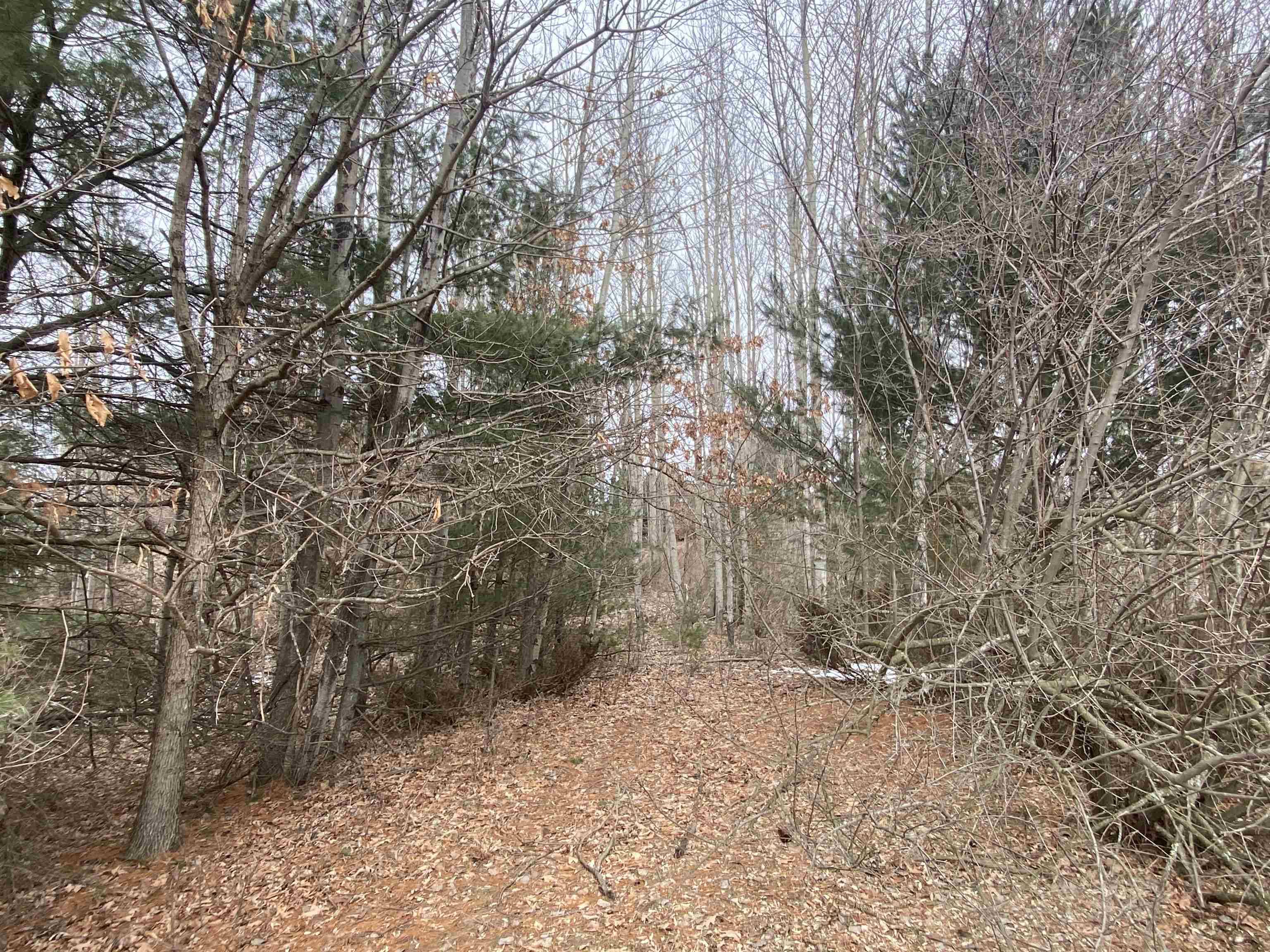 Lot 33 Scenic Hills DR, Acme Twp, MI 49690