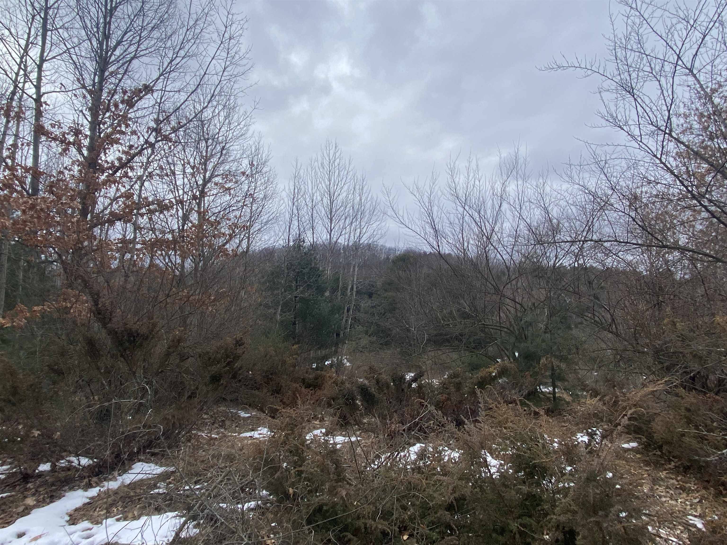 Lot 33 Scenic Hills DR, Acme Twp, MI 49690