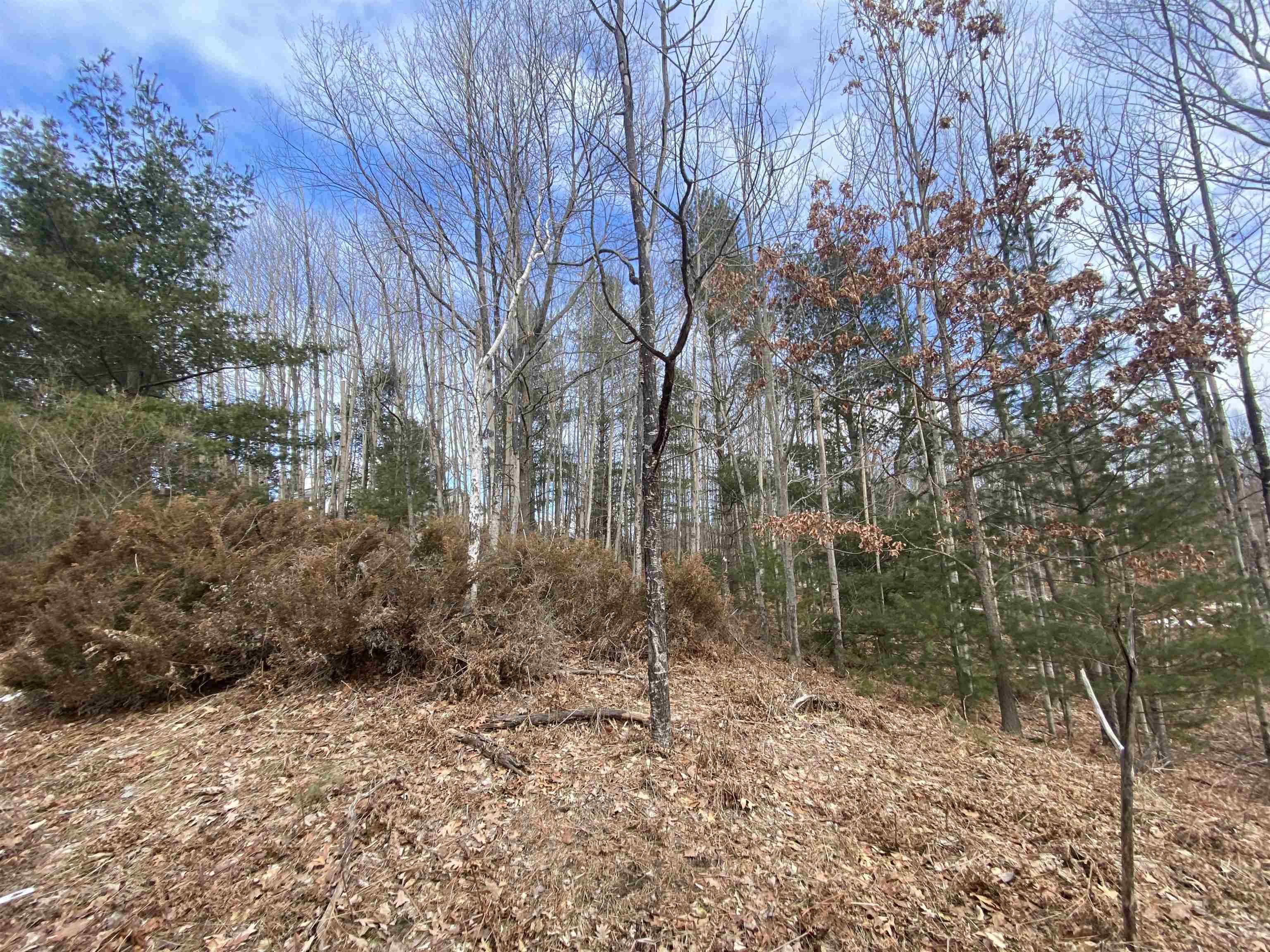 Lot 31 Scenic Hills DR, Acme Twp, MI 49690