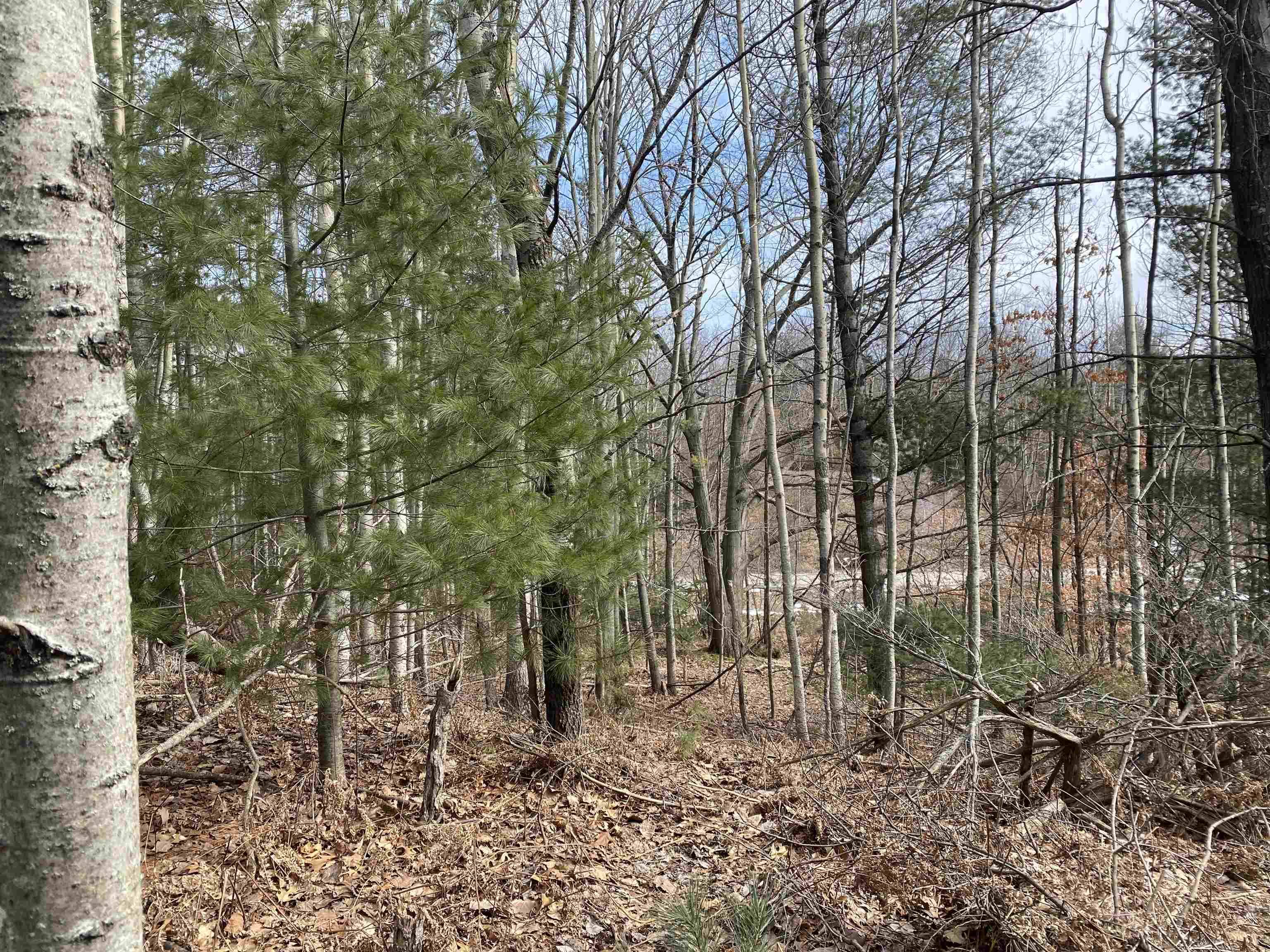 Lot 31 Scenic Hills DR, Acme Twp, MI 49690