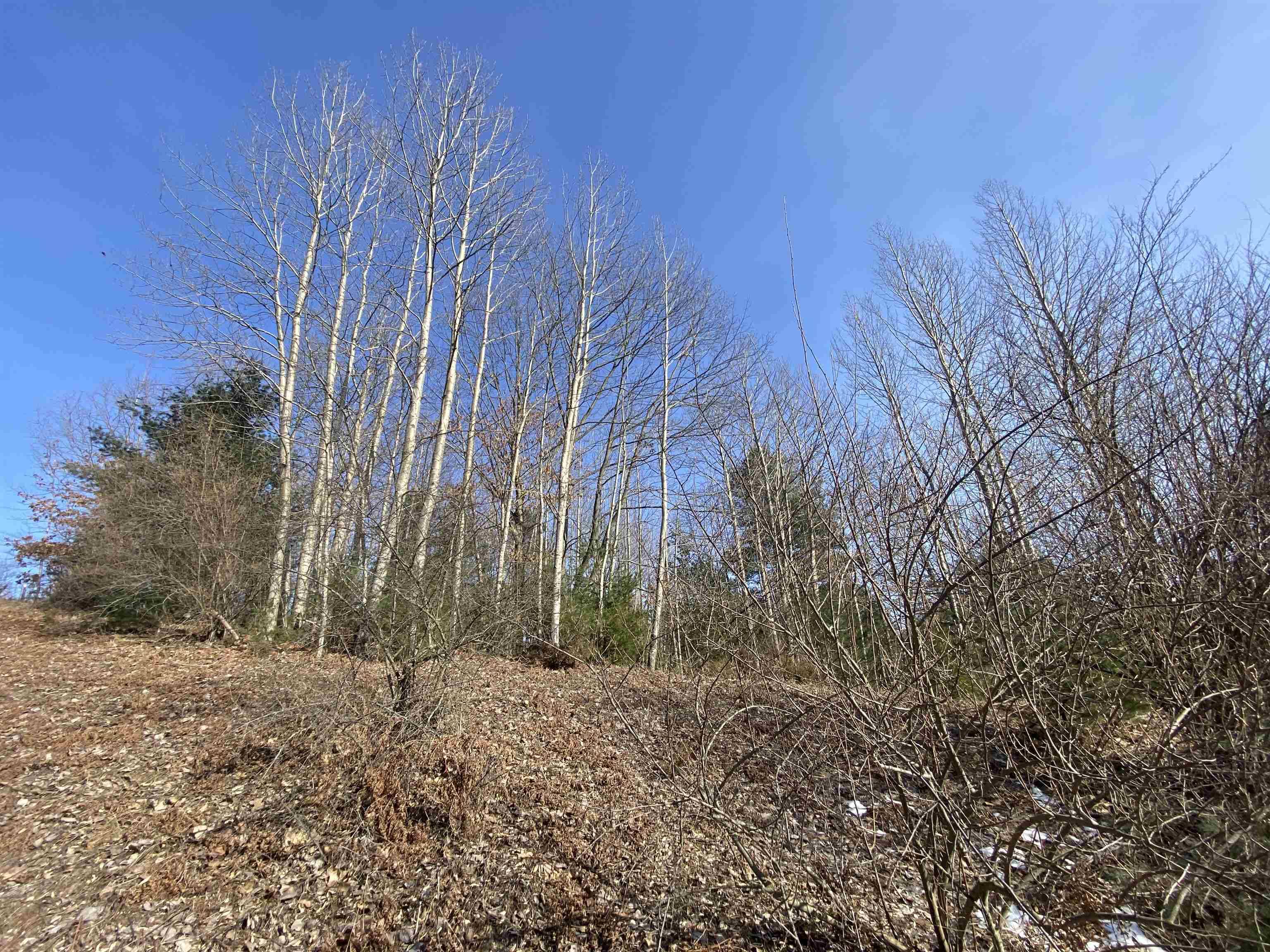 Lot 34 Scenic Hills DR, Acme Twp, MI 49690